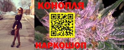 мдпв Бийск